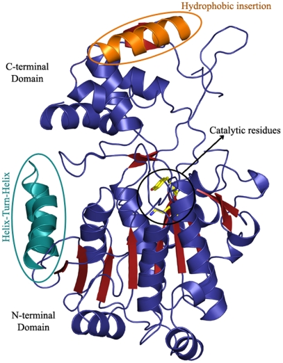 Fig. 3.