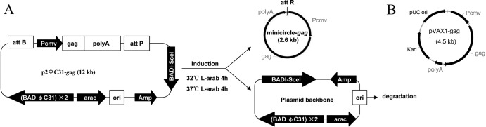 FIG 1