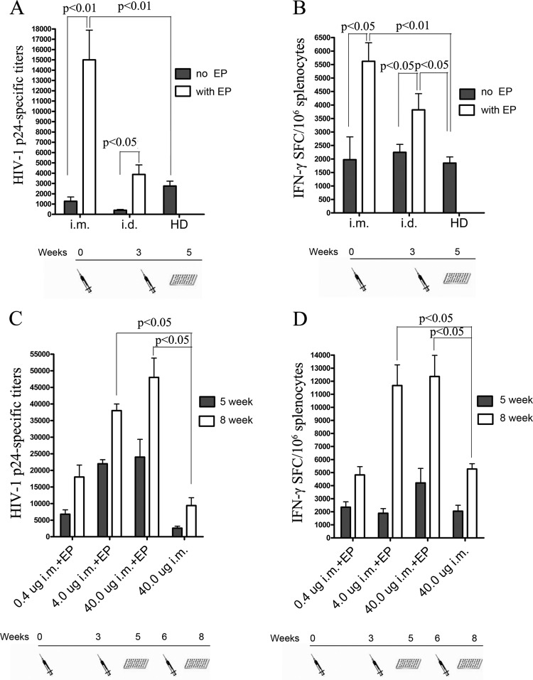 FIG 3