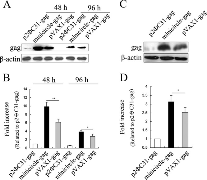 FIG 2