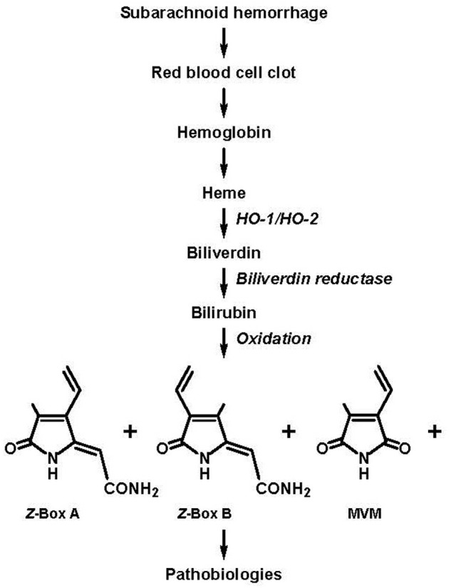 FIGURE 1