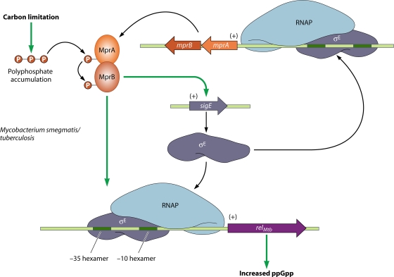 FIG. 7.