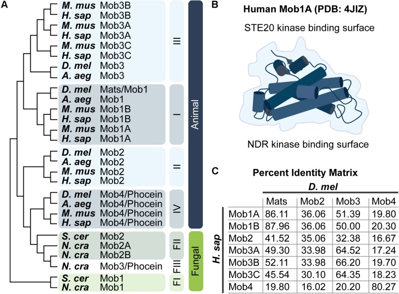 FIGURE 2