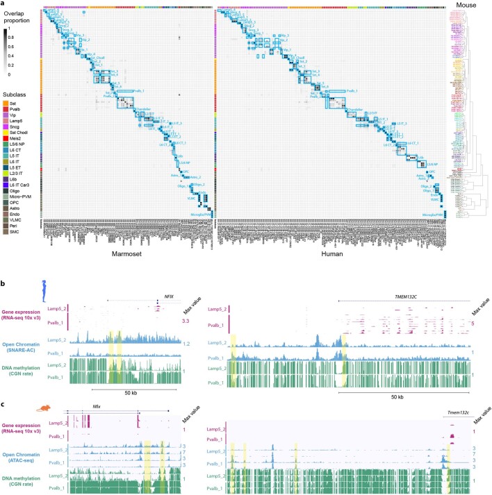 Extended Data Fig. 2