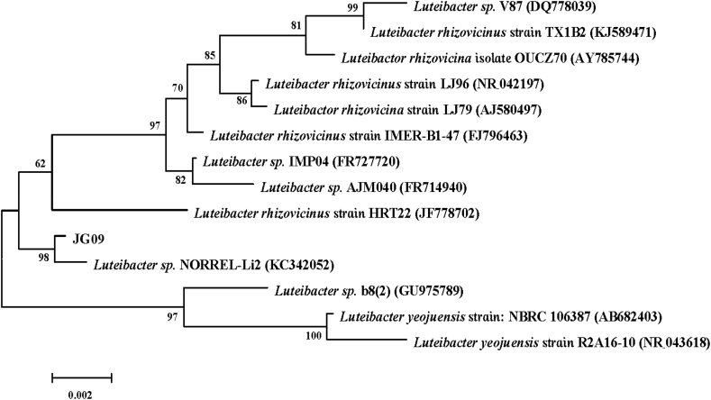 Fig. 2