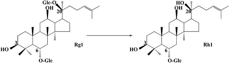 Fig. 9