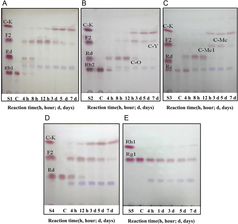 Fig. 6