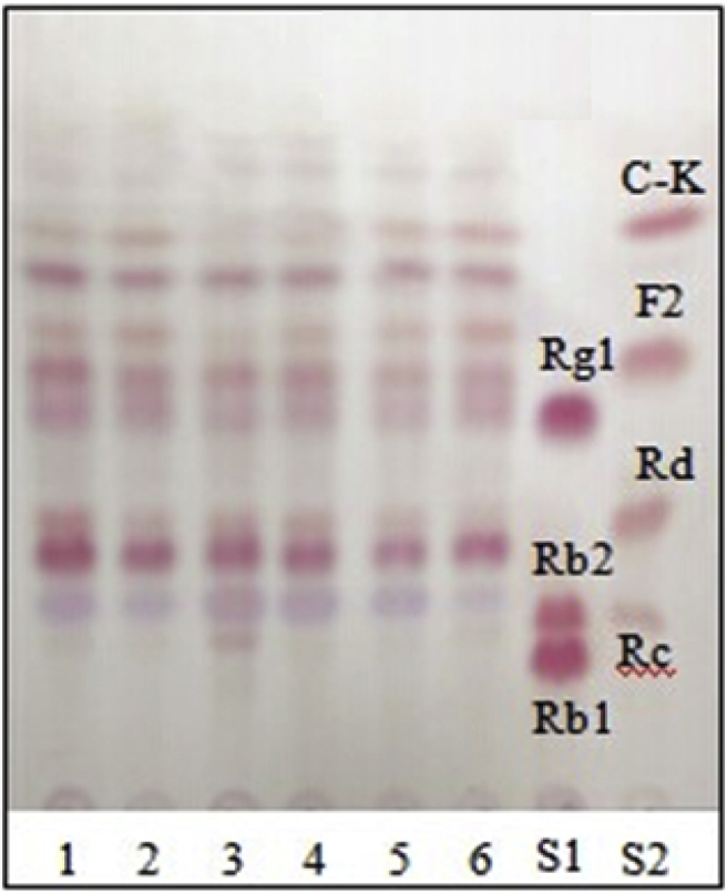 Fig. 3