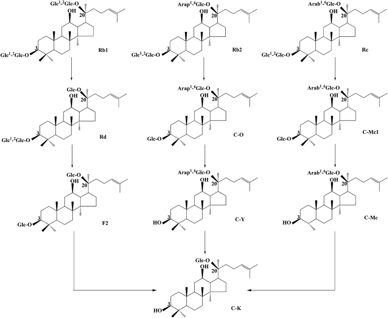 Fig. 8