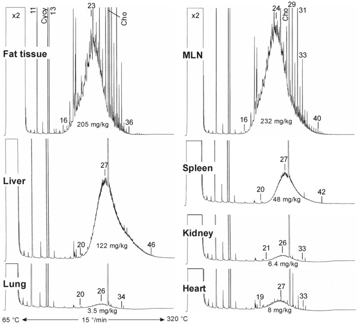 Figure C.3