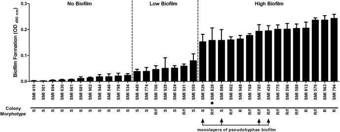 FIG 1