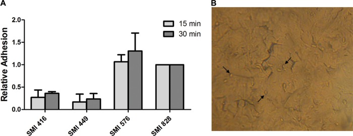 FIG 4