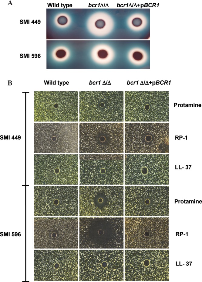 FIG 10
