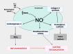 Fig 4: