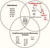 Image, graphical abstract