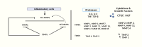 Fig 5: