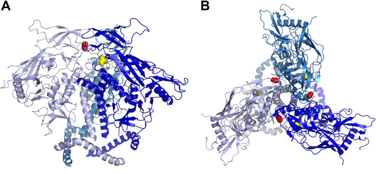 FIG 7