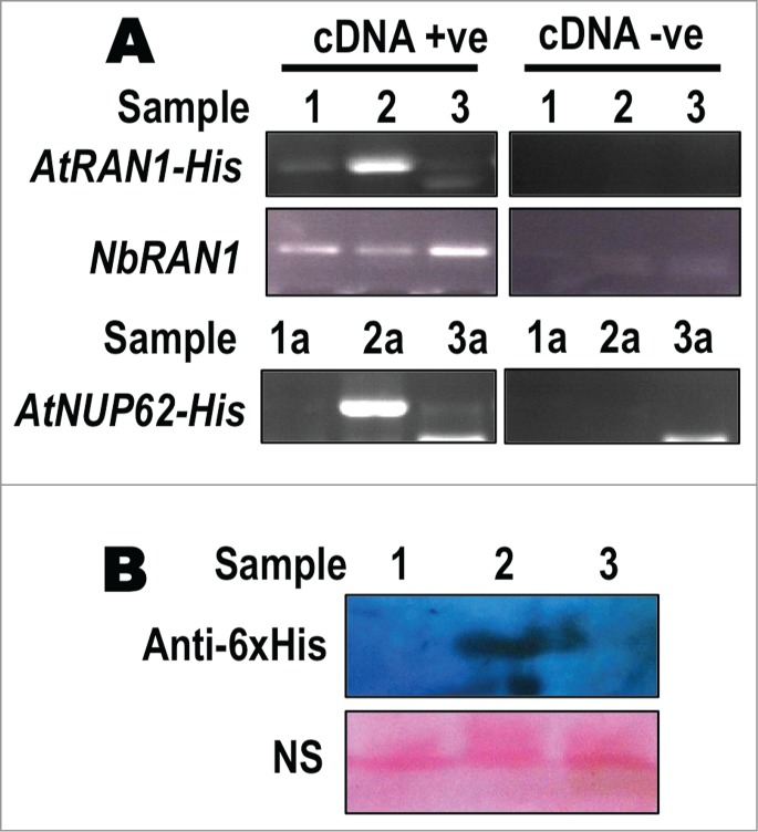 Figure 2.