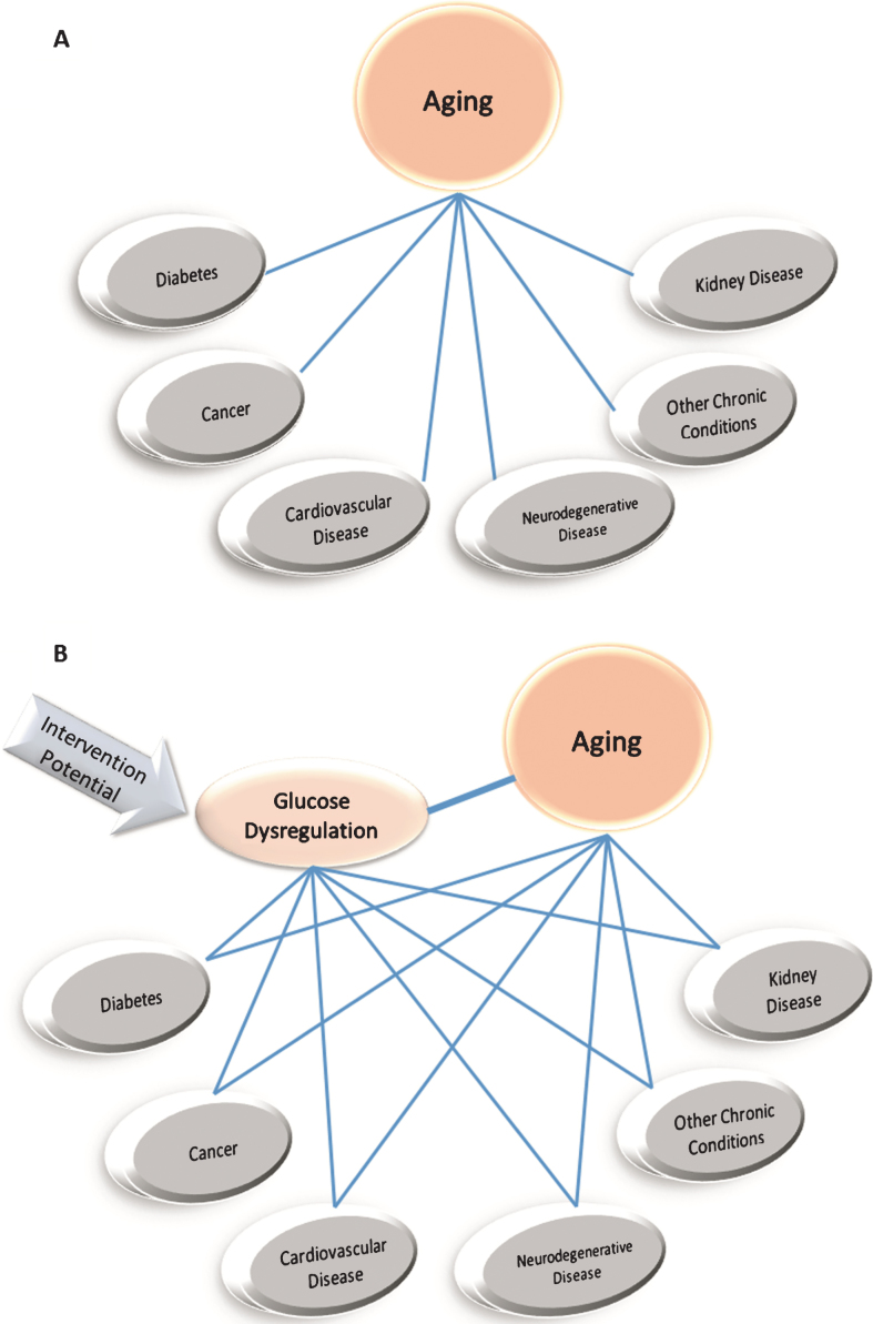 Fig.1