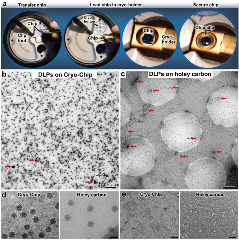 Figure 3.