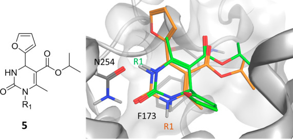 Figure 5