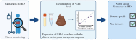 Graphical Abstract
