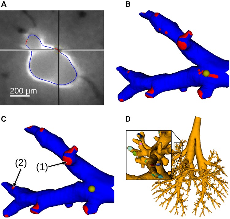 Fig. 12.