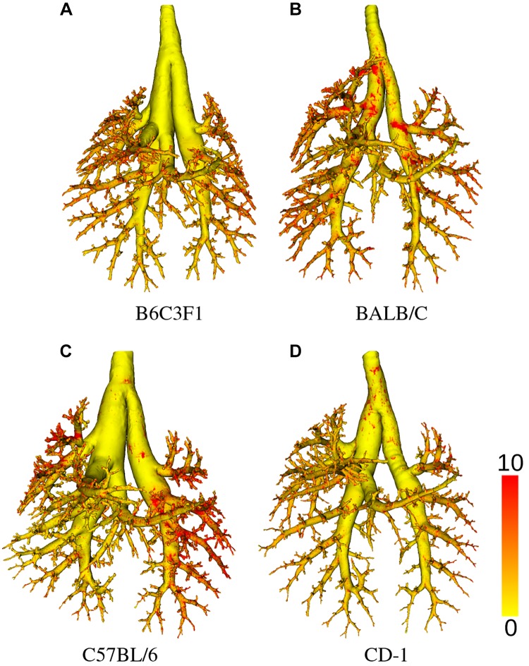 Fig. 18.