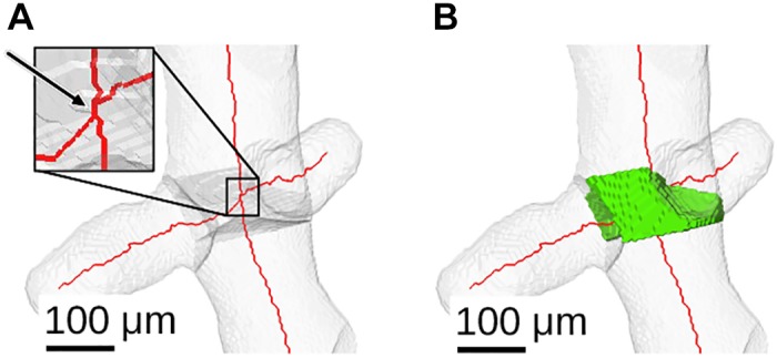 Fig. 23.