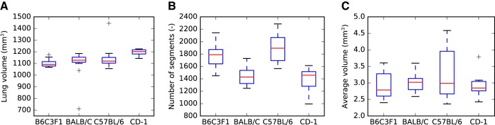 Fig. 19.