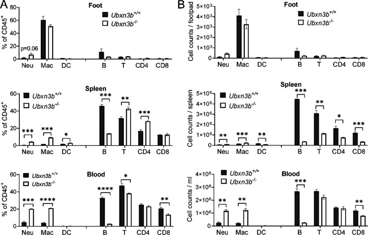 FIG 6