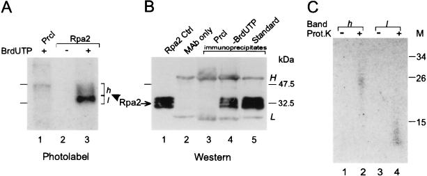 FIG. 6