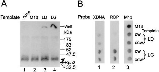 FIG. 5