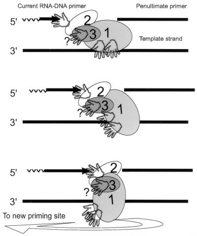 FIG. 7