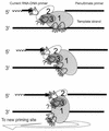 FIG. 7