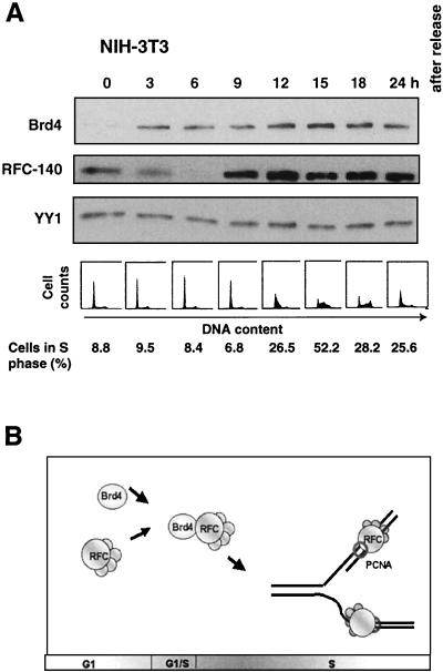 FIG. 7.