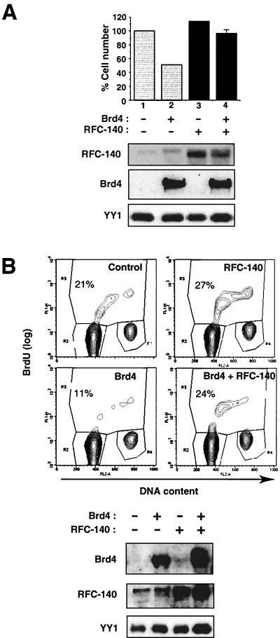 FIG. 5.