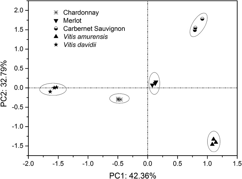 Fig. 2