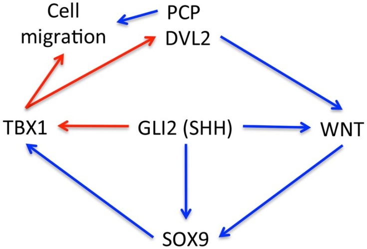 Figure 6