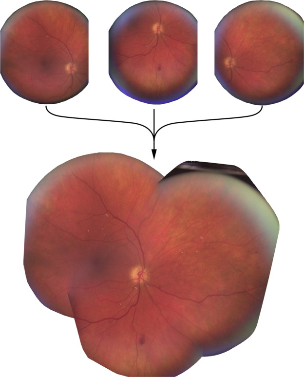 Fig. 2