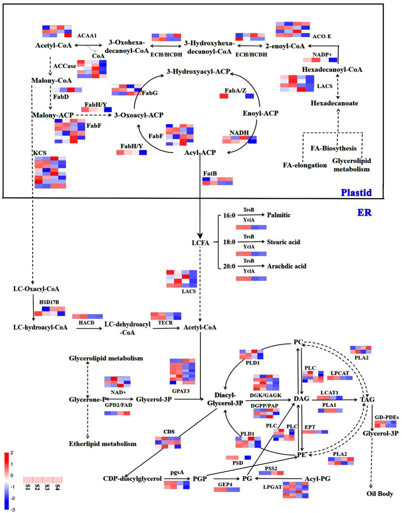 FIGURE 9