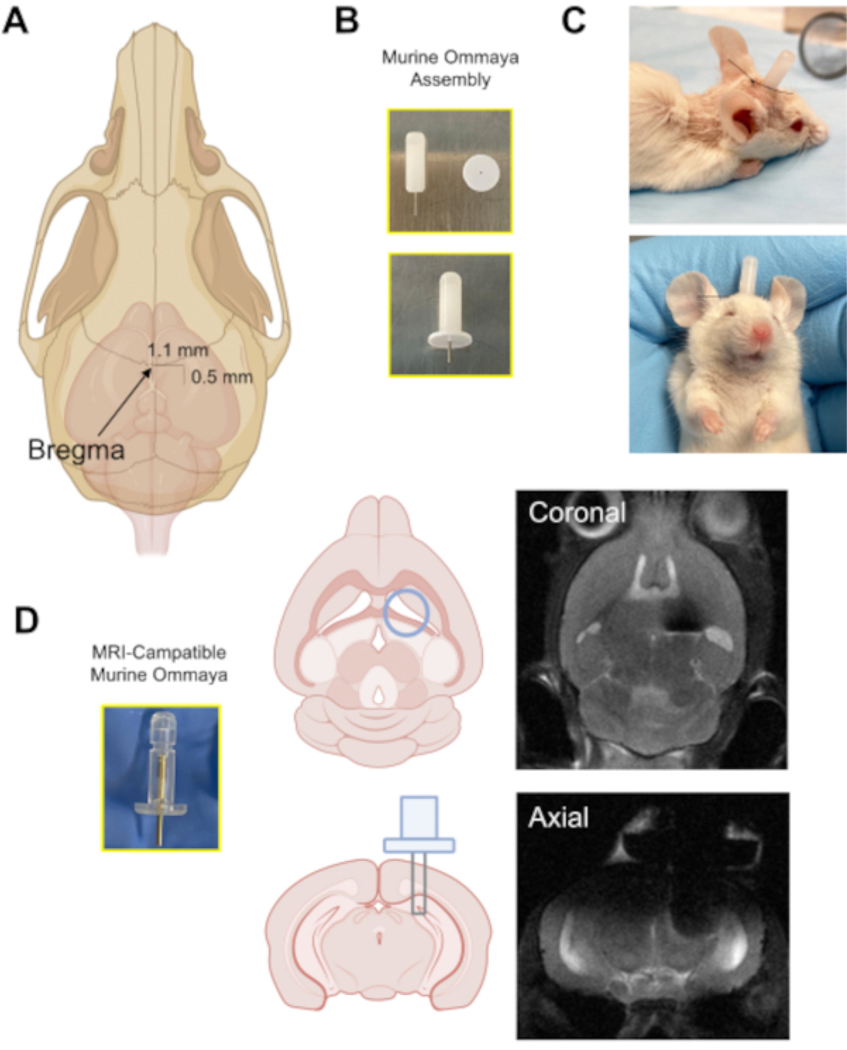 Figure 3: