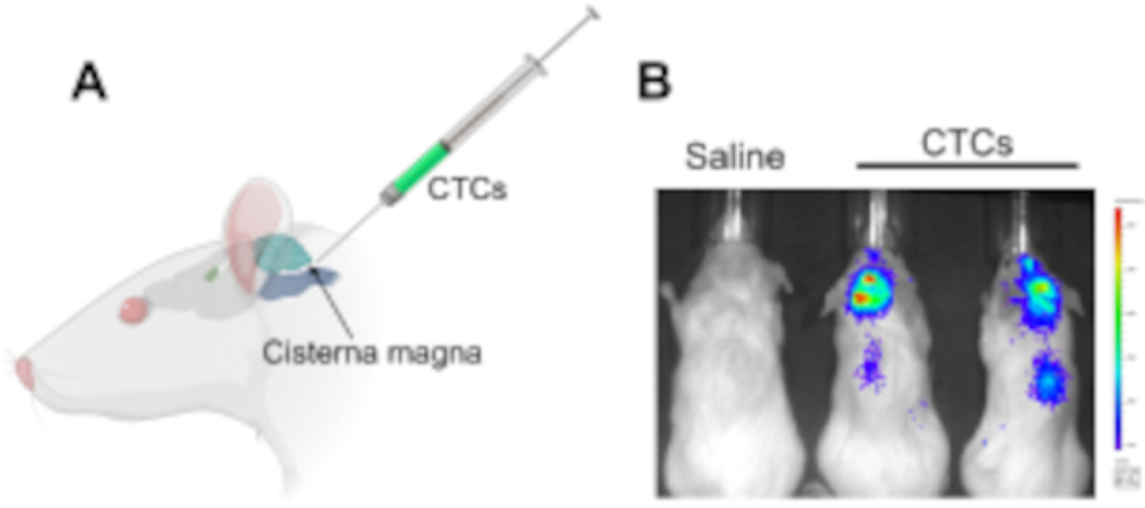 Figure 1: