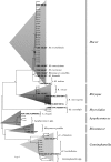 FIG. 1.