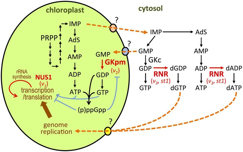 FIGURE 2