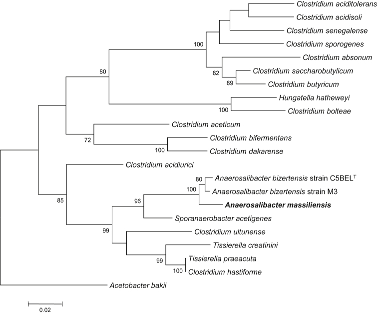 Fig. 1