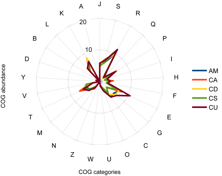 Fig. 7