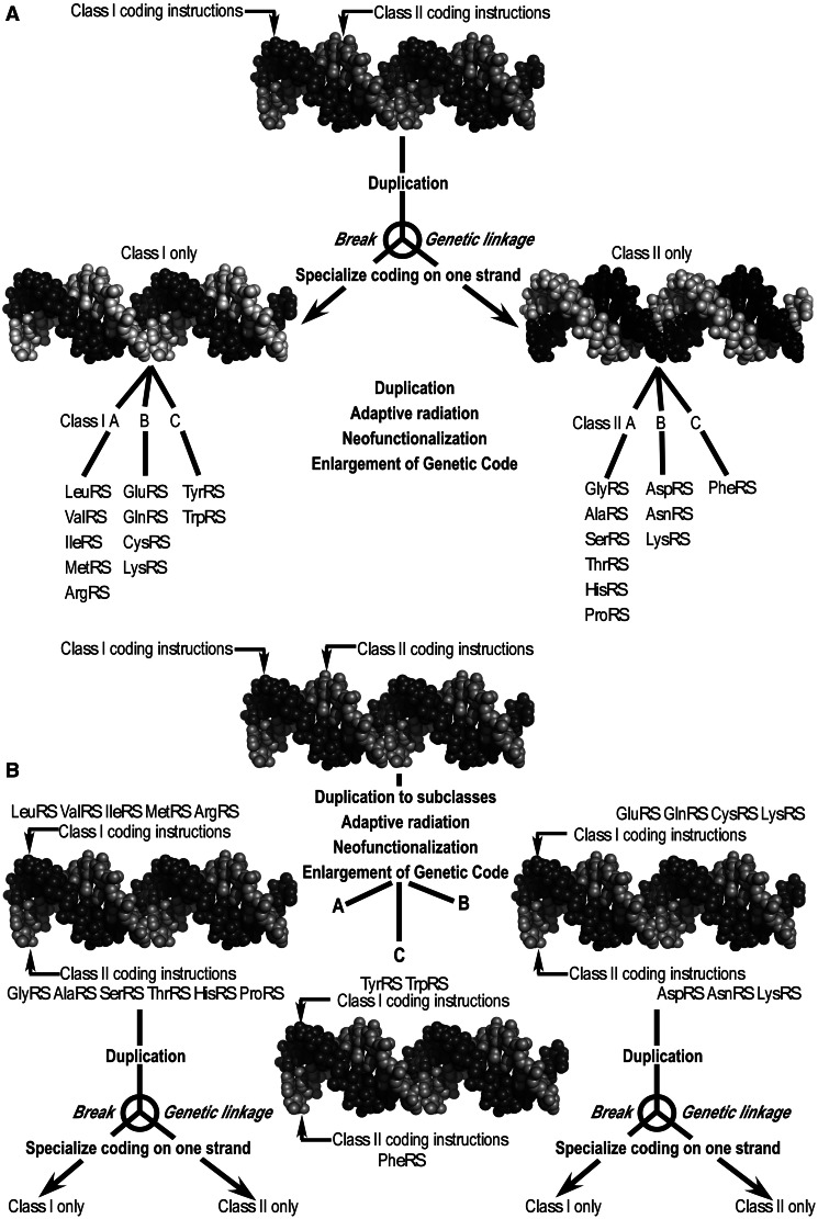 Fig. 7.