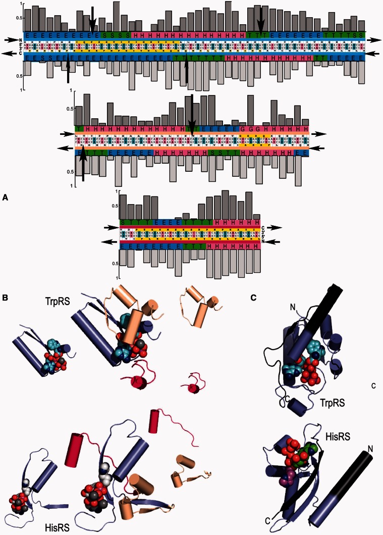 Fig. 1.