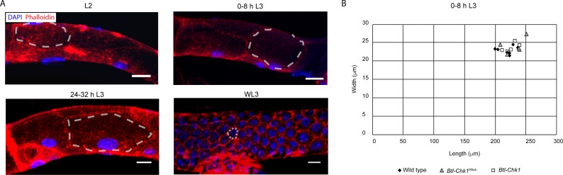 Figure 6—figure supplement 1.